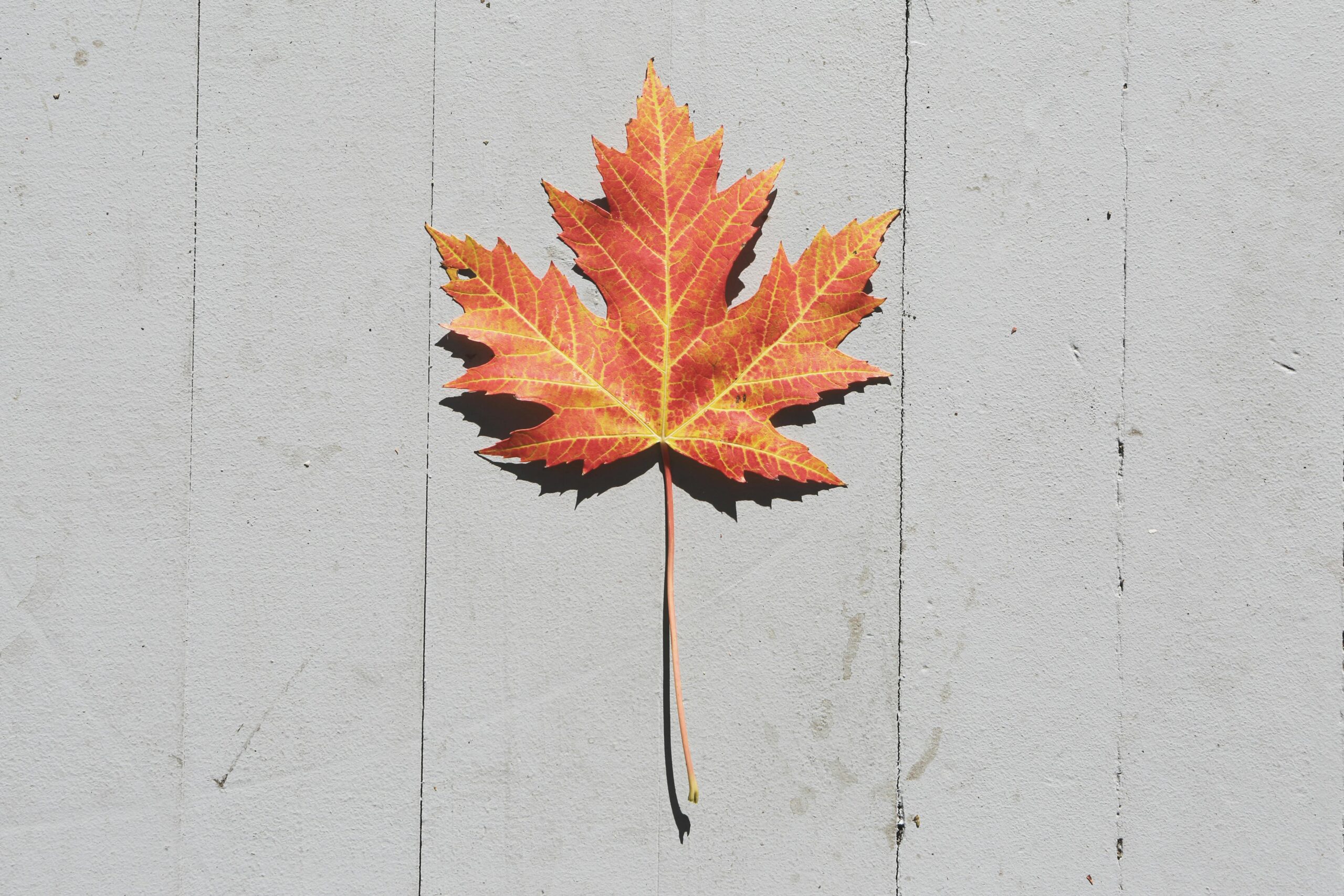 Conheça as 10 Províncias do Canadá